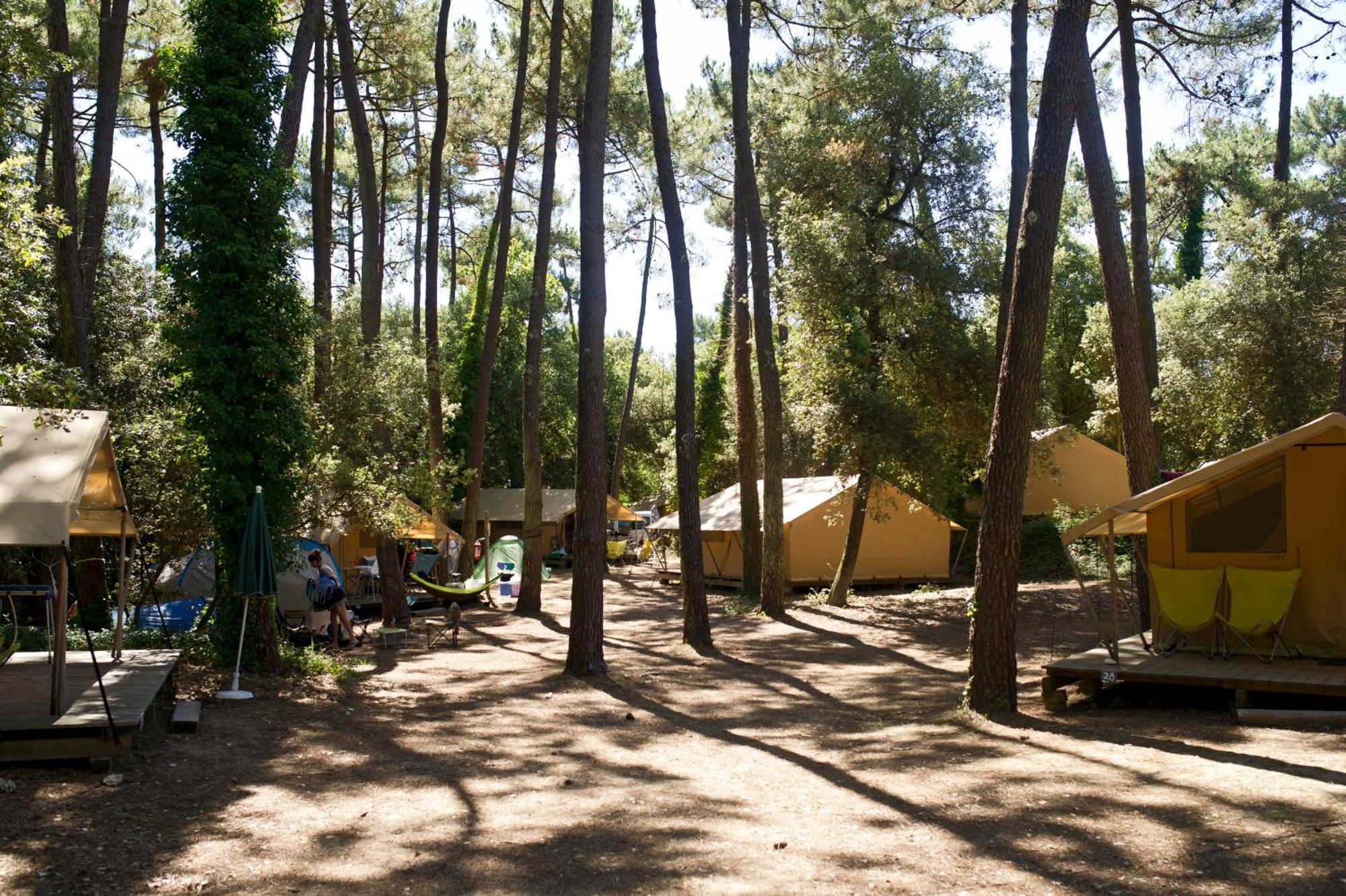 Huttopia Oleron Les Chenes Verts Dolus d'Oléron Pokój zdjęcie