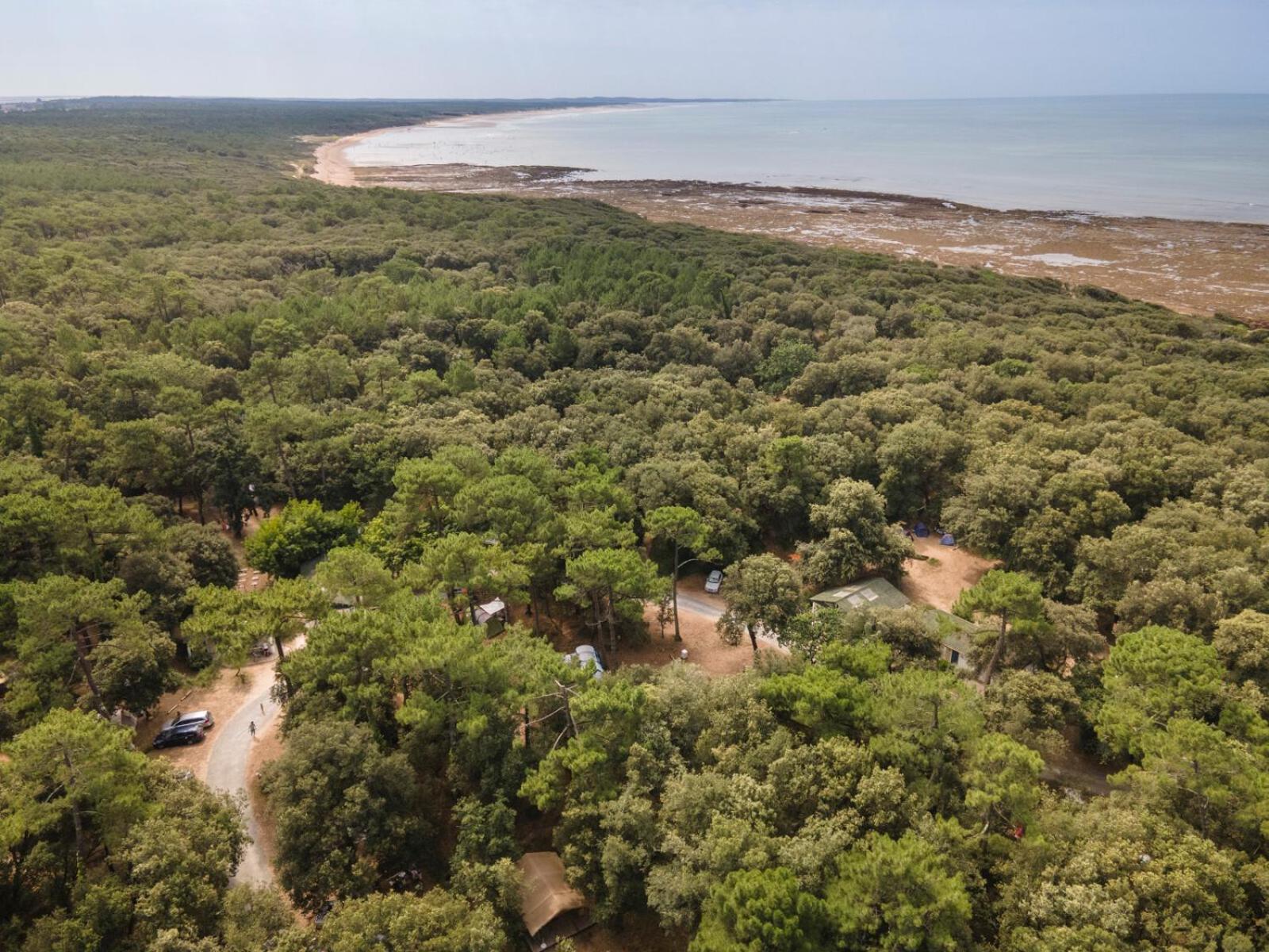 Huttopia Oleron Les Chenes Verts Dolus d'Oléron Zewnętrze zdjęcie